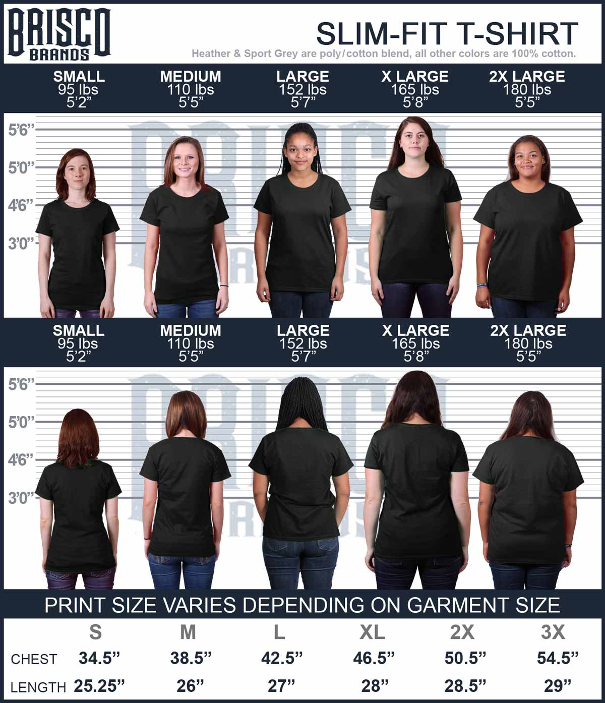 Woodsy Hoot Ladies T Shirt-Direct To Garment Print-Brisco Apparel
