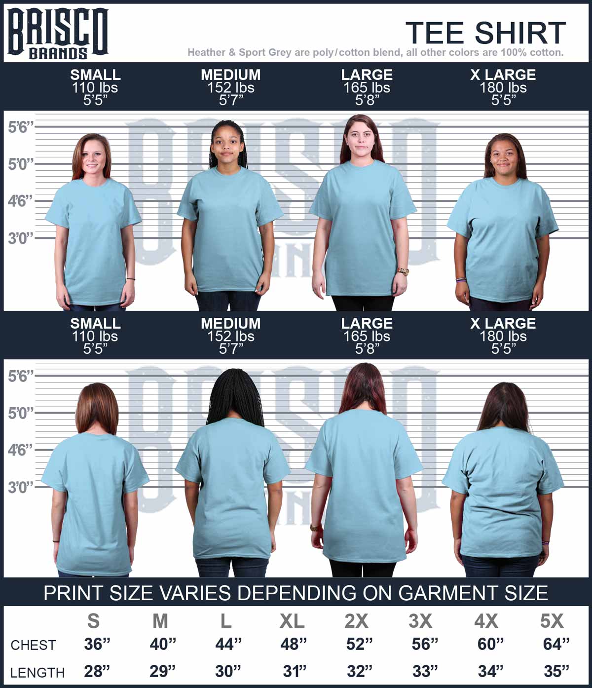 Sassy Classy Smurfette T Shirt-Direct To Garment Print-Brisco Apparel