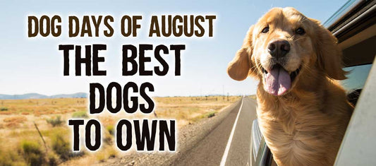 Celebrate The "Dog Days" of Summer With Our List Of Top Dogs!-Brisco Apparel