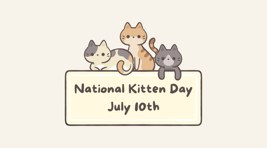 National Kitten Day: Here's What You Need to Know