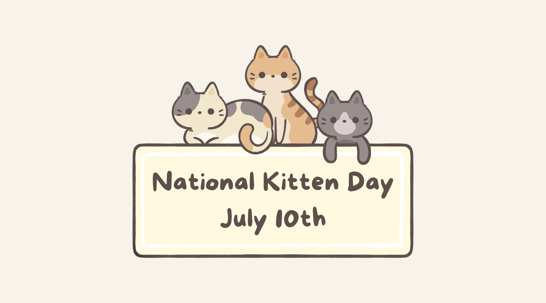 National Kitten Day: Here's What You Need to Know – Brisco Apparel