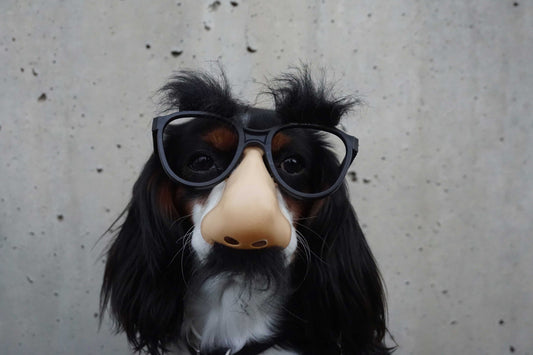 4 Shirt Designs That Will Make Your Sad Human Smile-Brisco Apparel