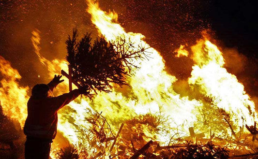 Psychobabble to Deal with an Anticlimactic Christmas-Brisco Apparel