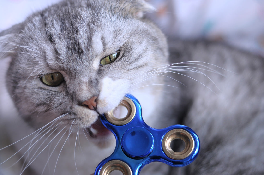 4 Reasons Fidget Spinners Aren’t Just a Fad