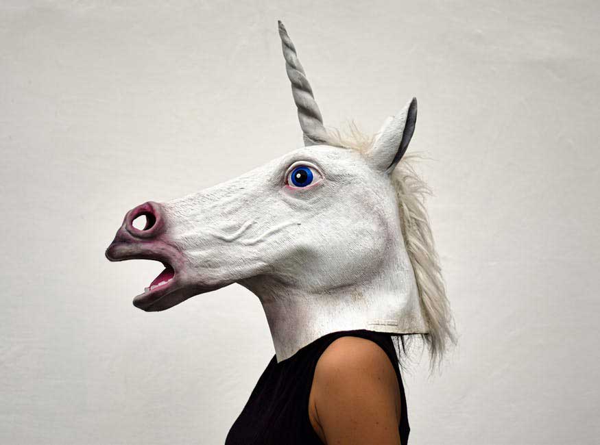 Chubby Unicorns and More Signs you Have a Sense of Humor