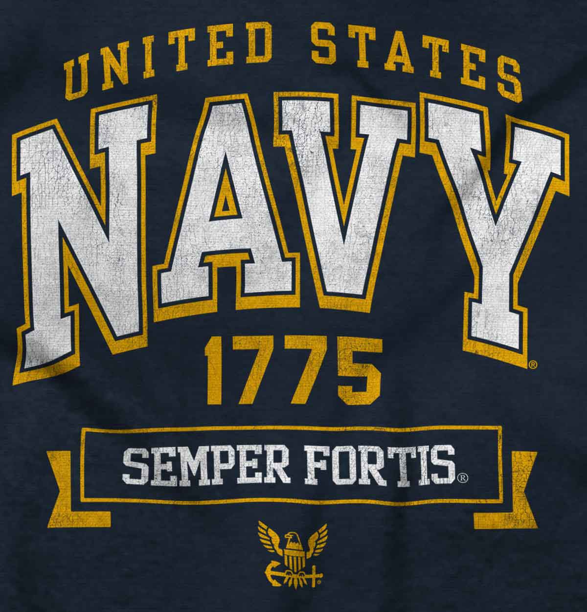 Semper Fortis Hoodie-Direct To Garment Print-Brisco Apparel